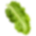 NutriPure