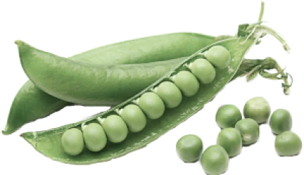 NutriPure