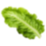 NutriPure