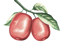 NutriPure